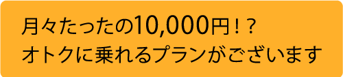 ジムニー,jimny