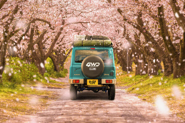 桜のアーチ　春イメージ